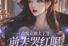 改嫁京圈太子爷,前夫哭红眼求我别嫁精彩章节阅读(林江宇)免费阅读大结局-永恒文学