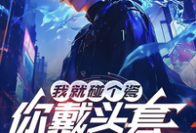 我就碰个瓷，你戴头套什么意思？精彩章节在线免费阅读（陆泽赵勇）-永恒文学