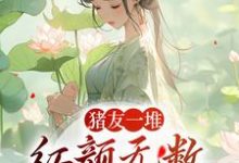 猪友一堆,红颜无数,这叫年少有为大结局,裴双郑子林小说无广告阅读-永恒文学