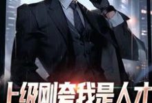 跪求主角是陈宇赵敏的小说书名叫什么-永恒文学