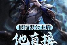 王修苏晚晴小说的结局在哪可以看,被逼娶公主后,他直接坐了皇位免费阅读完结版-永恒文学