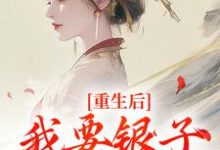 重生后，我要银子不要男人！在线看，云清絮玄翼小说大结局在哪免费看-永恒文学