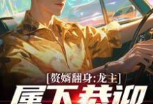 主人公是叶尘林含雪的小说赘婿翻身：龙主，属下恭迎您归位免费阅读-永恒文学