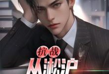 抗战：从淞沪保卫战开始在线看，叶青山小说大结局在哪免费看-永恒文学