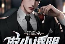 精彩章节阅读官途:从做小透明开始(何涛)免费小说在线看-永恒文学