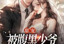 甜宠:被腹黑少爷藏起来的娇宝免费阅读,沈初棠时承煜大结局无弹窗-永恒文学
