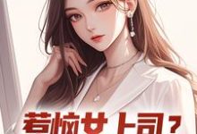 惹恼女上司?我有妙计摆平精彩章节在线免费阅读(张文定)-永恒文学