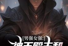 男强女强：神王殿主和女特工闪婚了（主角林晨叶寒霜）完结版免费阅读-永恒文学