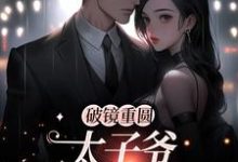 破镜重圆:太子爷他太霸道免费阅读,黎念靳宴深大结局无弹窗-永恒文学
