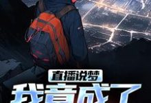 直播说梦，我竟成了预言家在线看，申媛小说大结局在哪免费看-永恒文学