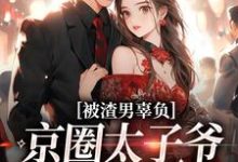 跪求主角是沈颜季辞渊的小说书名叫什么-永恒文学