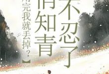 利用完我就丢掉？俏知青她不忍了（许语嫣叶修远）完结版免费阅读-永恒文学