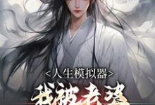人生模拟器：我被老婆逼成世间极境免费阅读，白棋陈北玄大结局无弹窗-永恒文学