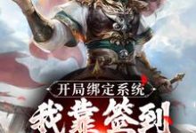 跪求主角是苏辰剑无心的小说书名叫什么-永恒文学