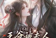 跪求主角是叶流西穆景川的小说书名叫什么-永恒文学