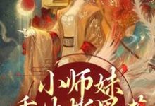 凤锦许墨小说免费阅读最新章节列表，小师妹重生撕黑莲，炸翻宗门小说在线看-永恒文学