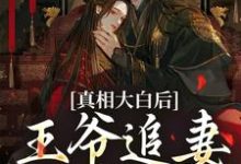 真相大白后，王爷追妻火葬场了热门小说(萧锦笙鸿枫)在线阅读无弹窗-永恒文学