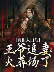 真相大白后，王爷追妻火葬场了热门小说(萧锦笙鸿枫)在线阅读无弹窗