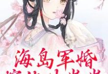 沈竹霍锦之最新章节列表海岛军婚：嫁他生崽崽免费阅读-永恒文学