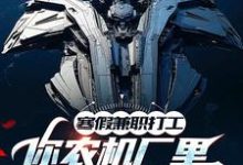 跪求主角是季成的小说书名叫什么-永恒文学