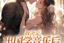 我决定出国学音乐后，大律师后悔了（宋棉贺淮川）最新章节免费阅读-永恒文学