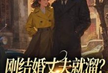 小说刚结婚丈夫就溜？姐真不吃人！（丁遥香陆舰）最新章节在哪看-永恒文学