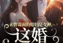 未曾谋面的媳妇是女神，这婚不离了精彩章节阅读(顾衍掣盛知夏)免费阅读大结局-永恒文学