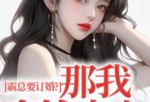 霸总要订婚？那我拿钱走人免费阅读，沈徽林项明峥大结局无弹窗-永恒文学