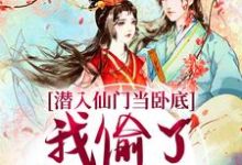 宋时卿谢寂玉小说免费阅读最新章节列表，潜入仙门当卧底，我偷了谪仙的心小说在线看-永恒文学