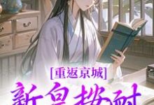 求助这本重返京城,新皇按耐不住了!小说在哪里可以看完结版-永恒文学