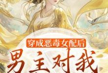 穿成恶毒女配后，男主对我情根深种精彩章节阅读(沈清和谢然安)免费阅读大结局-永恒文学