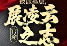 楚昊宇最新章节列表官途：被派基层，展凌云之志免费阅读-永恒文学