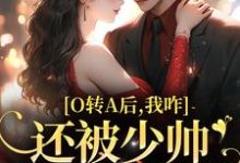 O转A后，我咋还被少帅强取豪夺了免费阅读(池影霍时晏)小说免费读最新章节-永恒文学