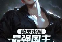 修罗出狱：最强国主身份震撼世界（主角叶枫）完结版免费阅读-永恒文学