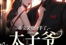 乖宝又要分手了，太子爷求贴贴在线看，江颜厉霆骁小说大结局在哪免费看-永恒文学