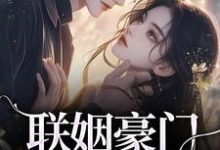 沈心姿陆仲廷小说的结局在哪可以看,联姻豪门继承人后,我逃婚了!免费阅读完结版-永恒文学