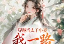 小说穿越当太子小妾,我一路扶摇直上主角沈嫣萧逸宸免费阅读-永恒文学