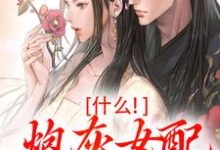 跪求主角是桃妩陆璟朔的小说书名叫什么-永恒文学