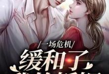 主角是南迦北铮的小说一场危机，缓和了我的婚姻在哪免费看-永恒文学
