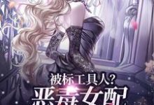被标工具人?恶毒女配甩男主求自由精彩章节在线免费阅读(宋以宁许继琛)-永恒文学