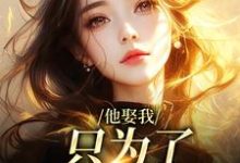 池野简司宁最新章节列表他娶我，只为了替她脱罪？免费阅读-永恒文学