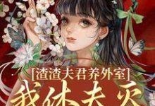 主角是萧时衍叶宛卿的小说渣渣夫君养外室，我休夫灭妾另高嫁在哪免费看-永恒文学