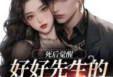 主角是连薰晏落的小说好好先生的真实面目在哪免费看-永恒文学