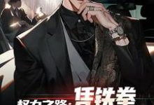 权力之路：凭铁拳，我令黑势力退避完结版步青云王东林免费阅读大结局-永恒文学
