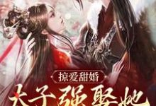 求助这本掠爱甜婚：太子强娶她入东宫小说在哪里可以看完结版-永恒文学