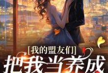精彩章节阅读我的盟友们云苓迟盛小说(云苓迟盛)免费小说在线看-永恒文学