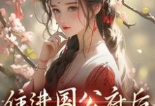 求助这本住进国公府后,我成了香饽饽!小说在哪里可以看完结版-永恒文学