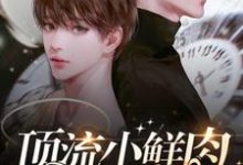 求助这本顶流小鲜肉每天只想官宣小说在哪里可以看完结版-永恒文学