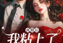 小说离婚后,我粘上了那位大佬主角舒愿陆骁免费阅读-永恒文学