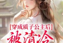 小说穿成质子公主后，被清冷太子宠了！主角阮今禾殷珩免费阅读-永恒文学